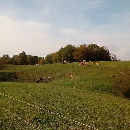 Zilje Nocleg ze śniadaniem Vinica