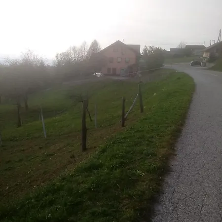 Zilje *