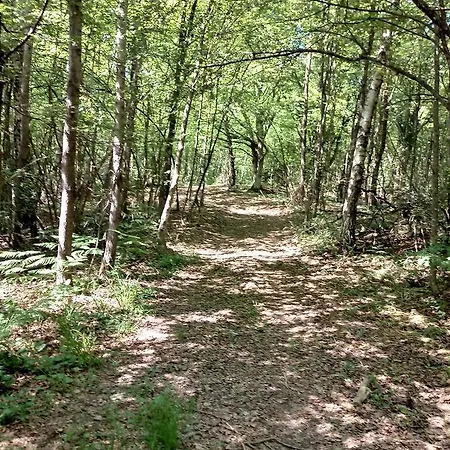 Zilje Nocleg ze śniadaniem 3*