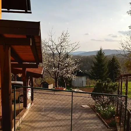 Zilje Vinica