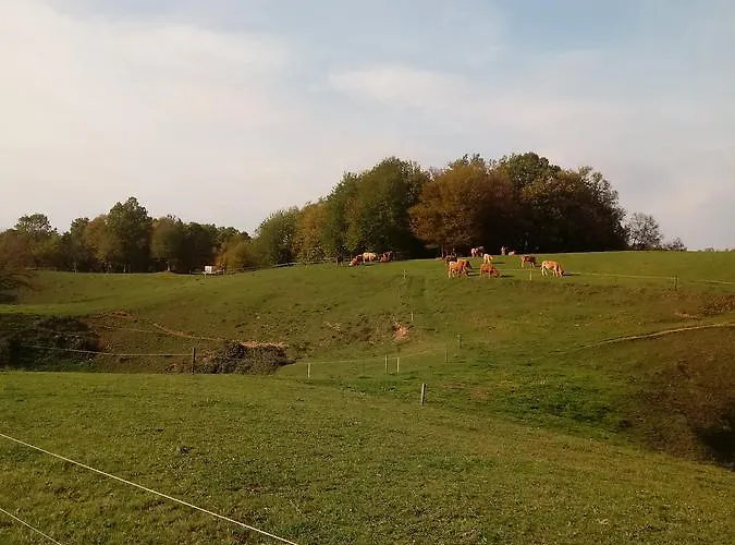 Zilje krevet i doručak Vinica