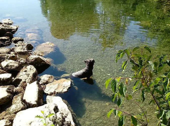 krevet i doručak Zilje 3*