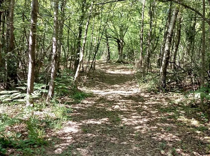 Zilje krevet i doručak 3*