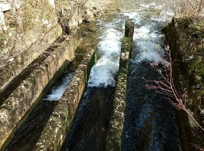 Zilje krevet i doručak 3*